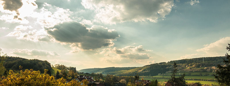 Lorem Ipsum 3